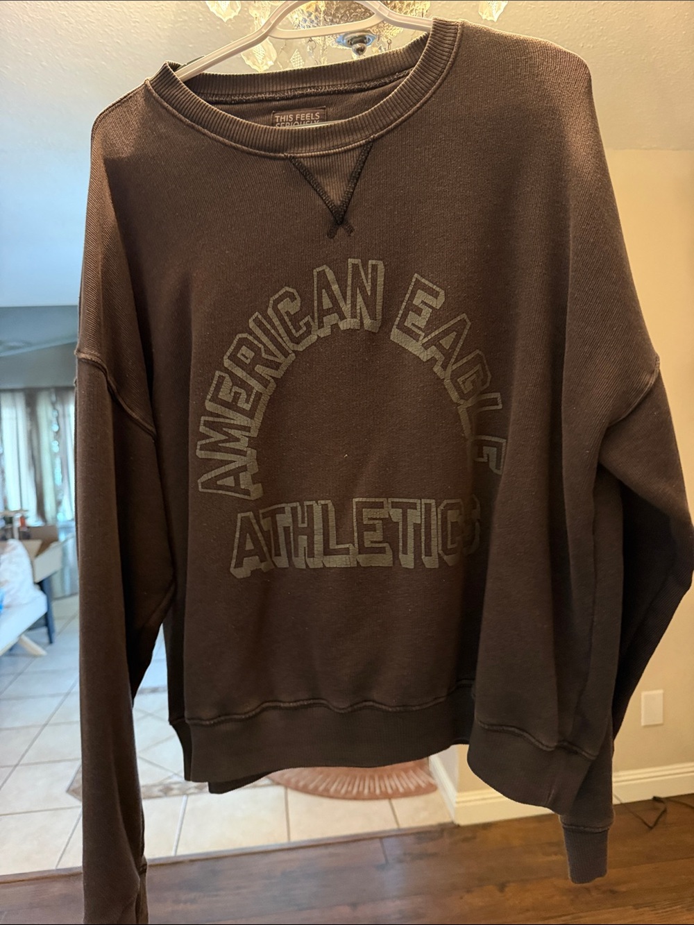 American Eagle Outfitters Brown Crewneck Sweatshirt